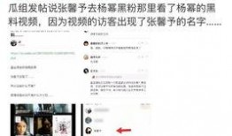 明星用大号吃瓜爆料文件,吃瓜爆料文件背后的娱乐圈真相